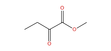 Methyl 2-oxobutyrate